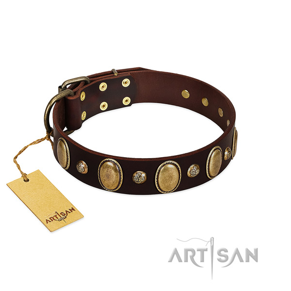 Natural leather dog collar of soft to touch material with awesome decorations