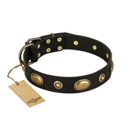 "Eye-Catcher" FDT Artisan Black Leather American Bulldog Collar for Walking in Style (image for) "Eye-Catcher" FDT Artisan Black Leather American Bulldog Collar for Walking in Style