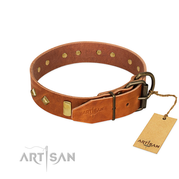 Walking natural leather dog collar with stylish design studs