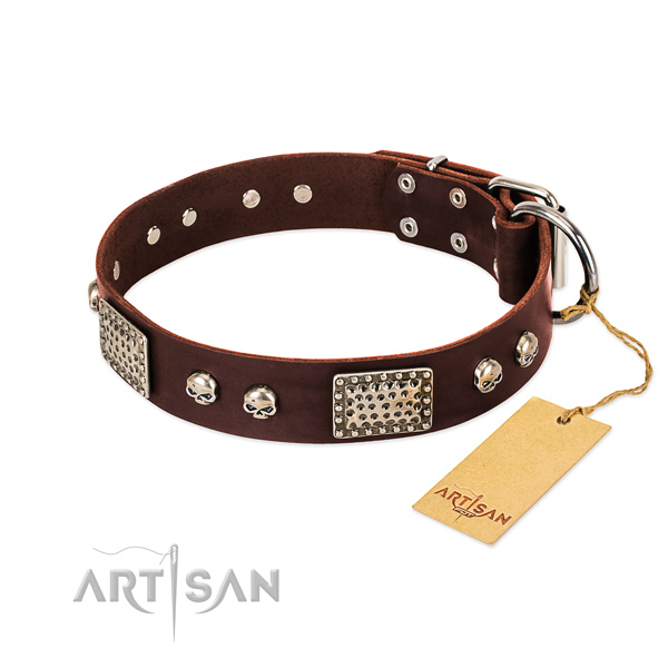 Easy to adjust leather dog collar for daily walking your dog