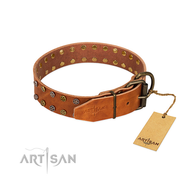 Daily walking natural leather dog collar with unique embellishments