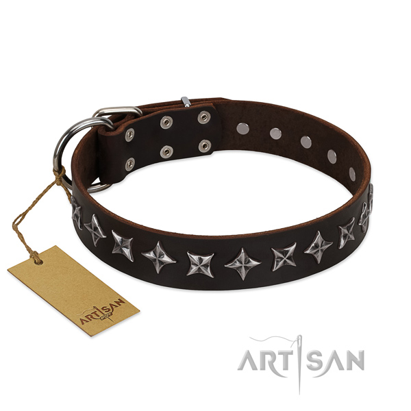 Daily use dog collar of finest quality genuine leather with decorations