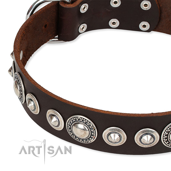 Basic training studded dog collar of reliable full grain leather