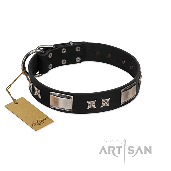 Stylish design dog collar of full grain genuine leather