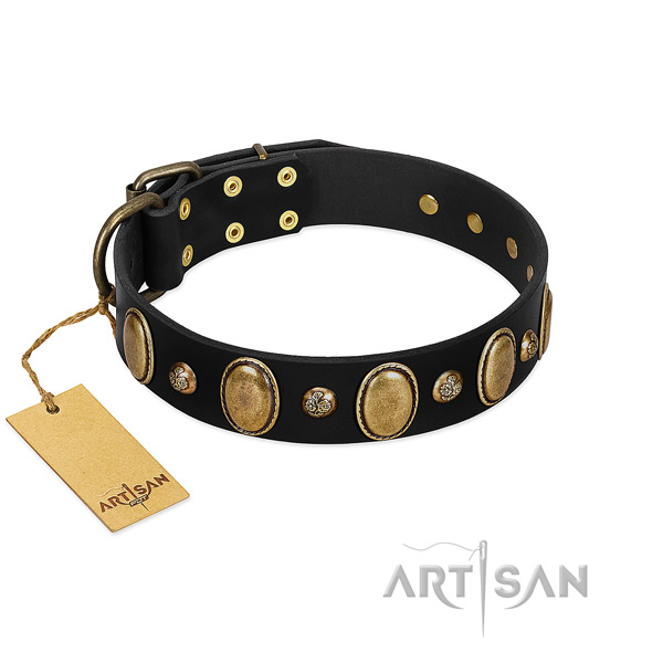 Full grain leather dog collar of soft to touch material with unusual adornments
