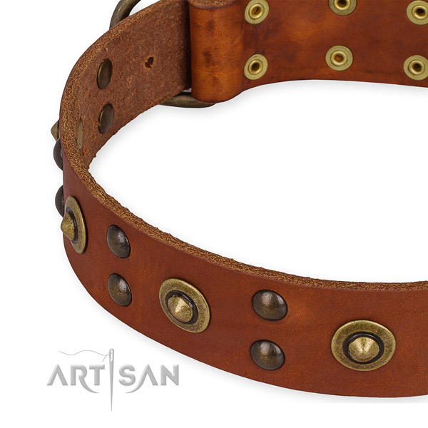 Genuine leather collar with rust resistant buckle for your attractive doggie