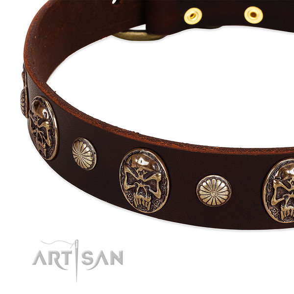 Genuine leather dog collar with embellishments for walking