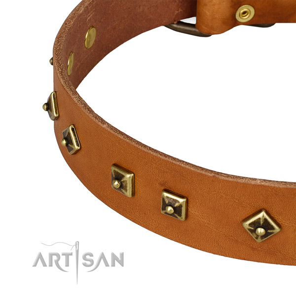 Significant leather collar for your impressive pet