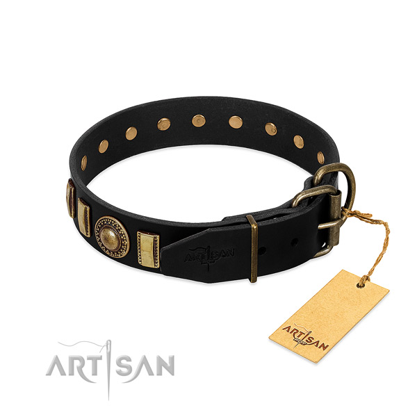 Durable leather dog collar with studs