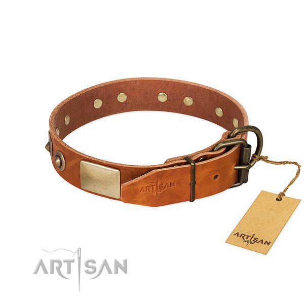Rust resistant adornments on stylish walking dog collar