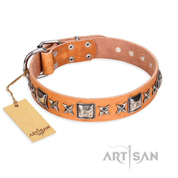 Easy wearing dog collar of finest quality full grain genuine leather with adornments
