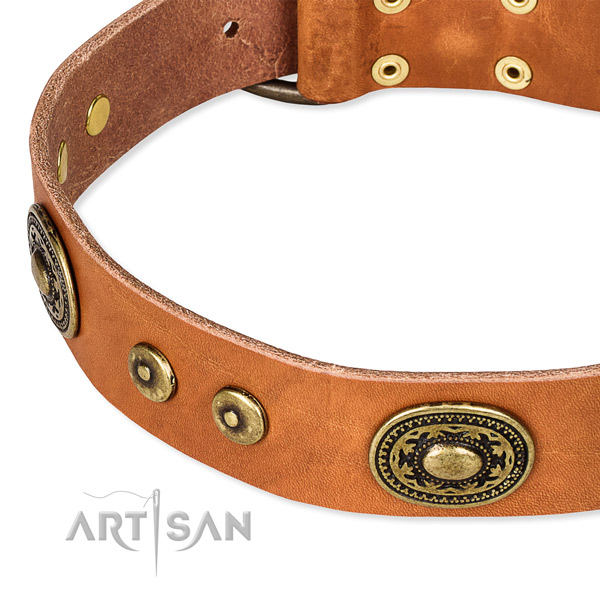 Full grain genuine leather dog collar made of best quality material with embellishments