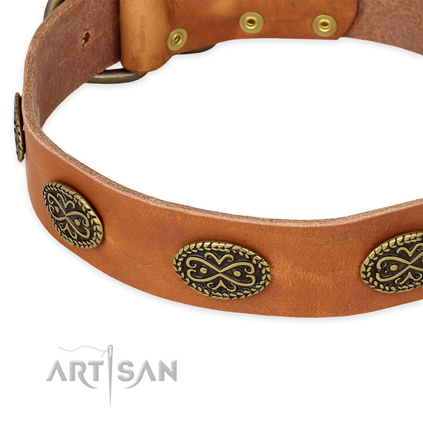 Extraordinary leather collar for your stylish canine