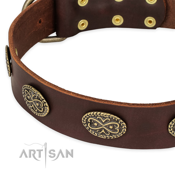 Extraordinary full grain natural leather collar for your attractive doggie