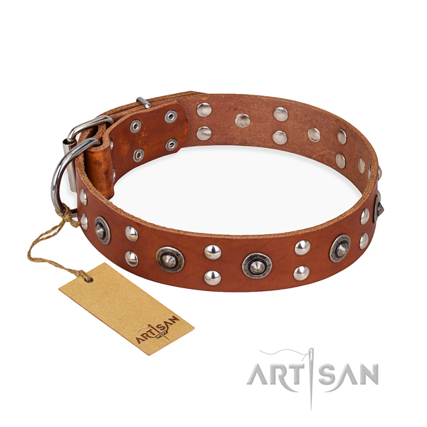 Everyday walking inimitable dog collar with rust-proof fittings