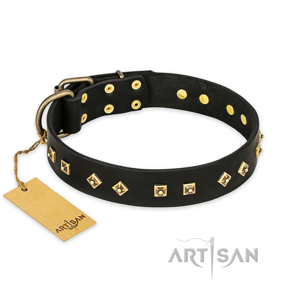 Fine quality genuine leather dog collar with rust resistant fittings