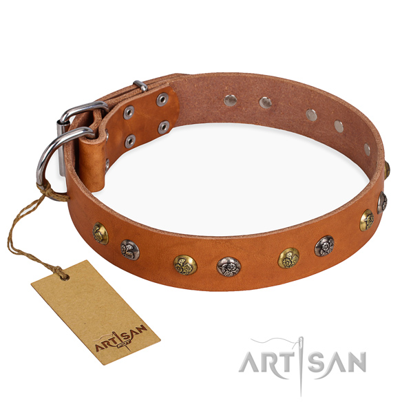 Daily walking amazing dog collar with corrosion resistant fittings