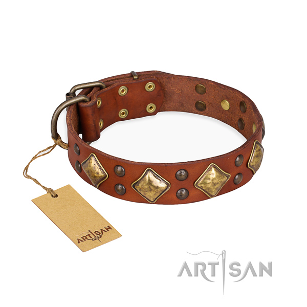 Easy wearing remarkable dog collar with reliable buckle