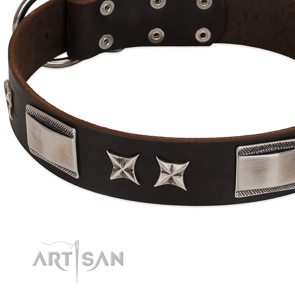 High quality full grain genuine leather dog collar with reliable buckle
