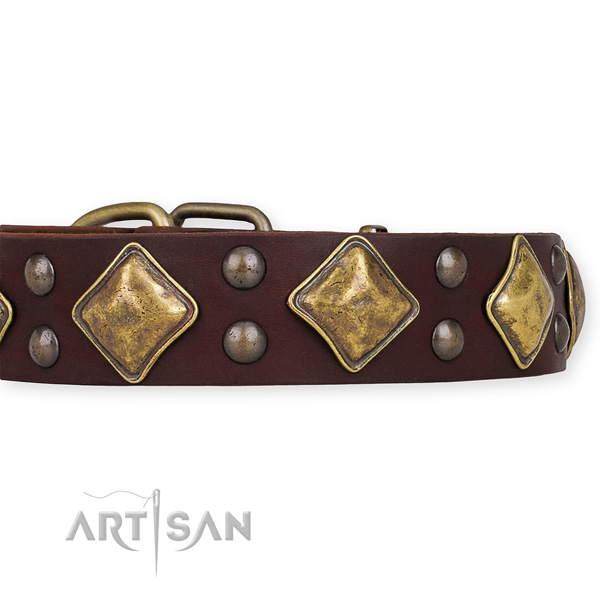 Genuine leather dog collar with designer rust resistant adornments