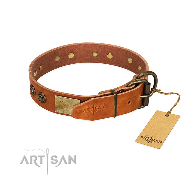 Corrosion resistant traditional buckle on full grain natural leather collar for stylish walking your dog