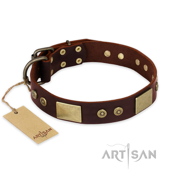 Awesome genuine leather dog collar for daily walking