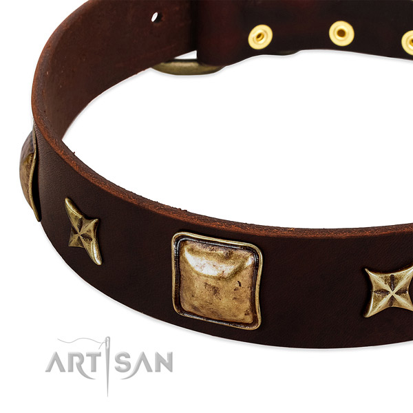 Rust resistant adornments on natural genuine leather dog collar for your pet