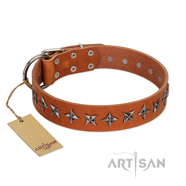 Handy use dog collar of finest quality genuine leather with decorations