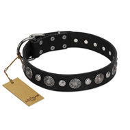 "Vintage Elegance" FDT Artisan Black Leather American Bulldog Collar with Engraved Brooches and Studs (image for) "Vintage Elegance" FDT Artisan Black Leather American Bulldog Collar with Engraved Brooches and Studs