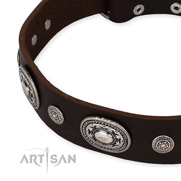 High quality genuine leather dog collar created for your beautiful dog