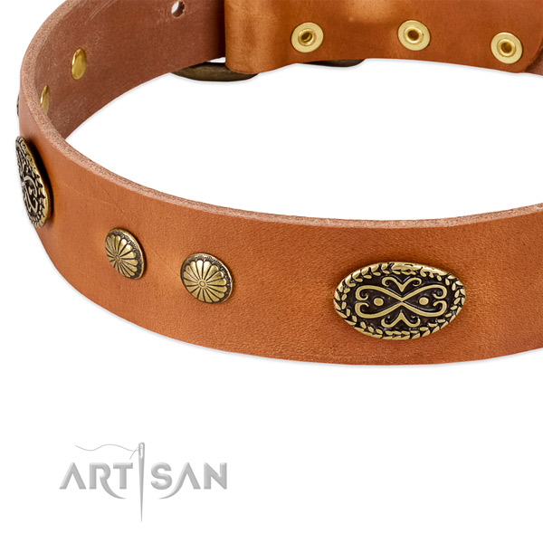 Rust resistant fittings on full grain genuine leather dog collar for your dog
