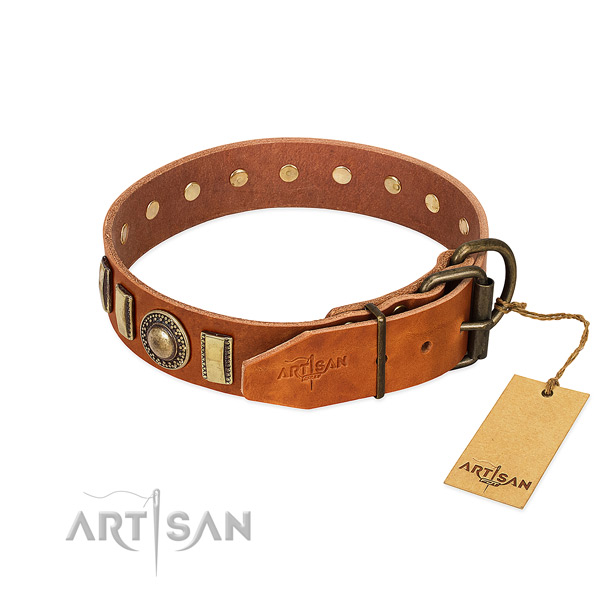 Inimitable leather dog collar with rust-proof traditional buckle