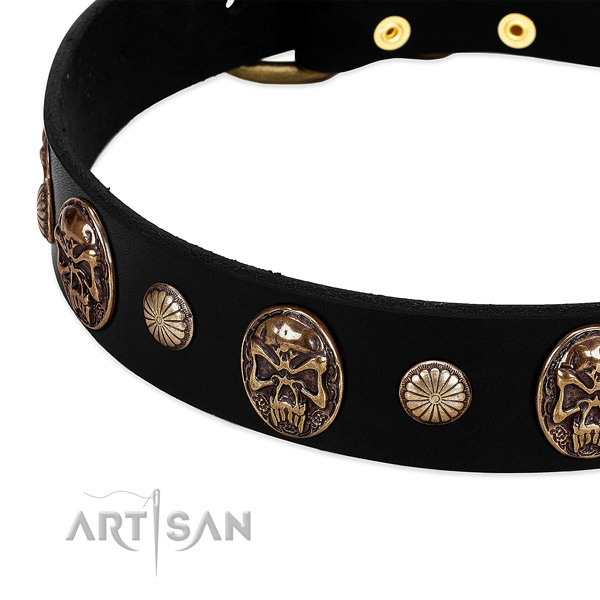 Natural leather dog collar with stunning studs
