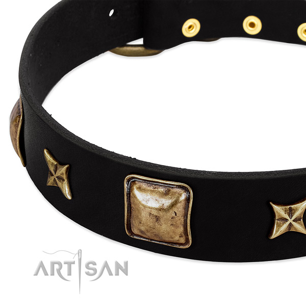 Full grain leather dog collar with stunning adornments