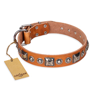 "Era of Future" FDT Artisan Handcrafted Tan Leather American Bulldog Collar with Decorations (image for) "Era of Future" FDT Artisan Handcrafted Tan Leather American Bulldog Collar with Decorations