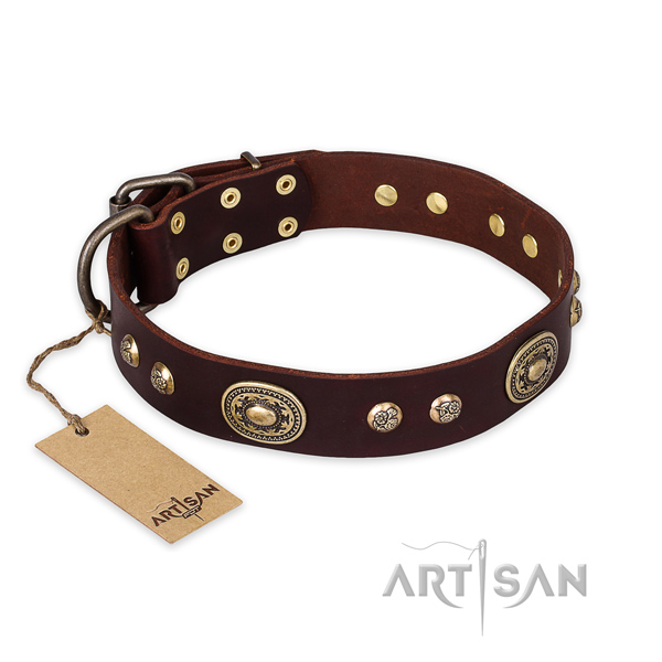 Significant full grain leather dog collar for stylish walking