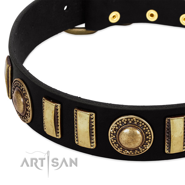 Top notch leather dog collar with corrosion resistant traditional buckle