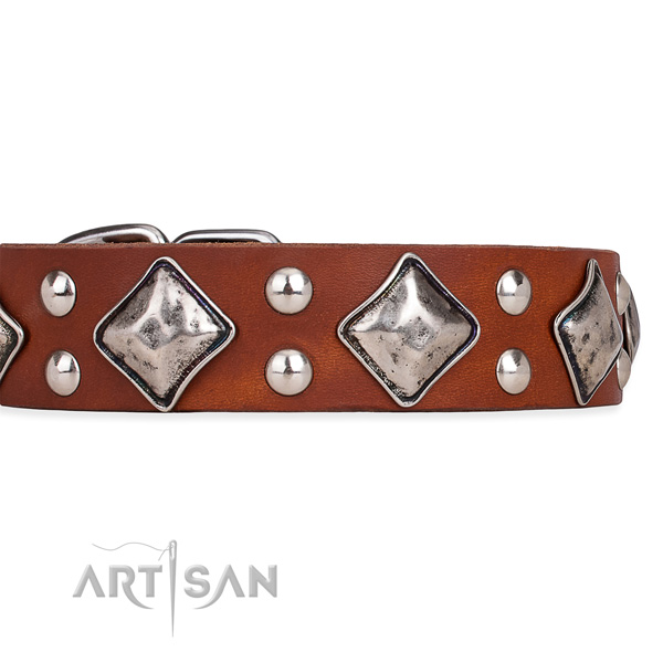 Full grain natural leather dog collar with designer corrosion proof decorations