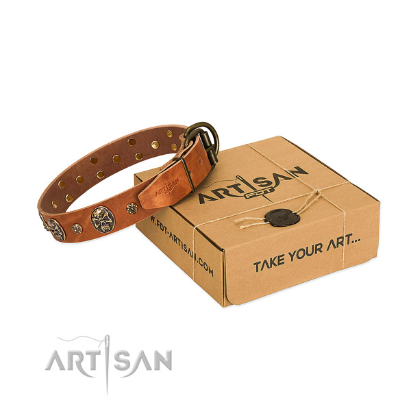 Strong studs on genuine leather dog collar for your dog