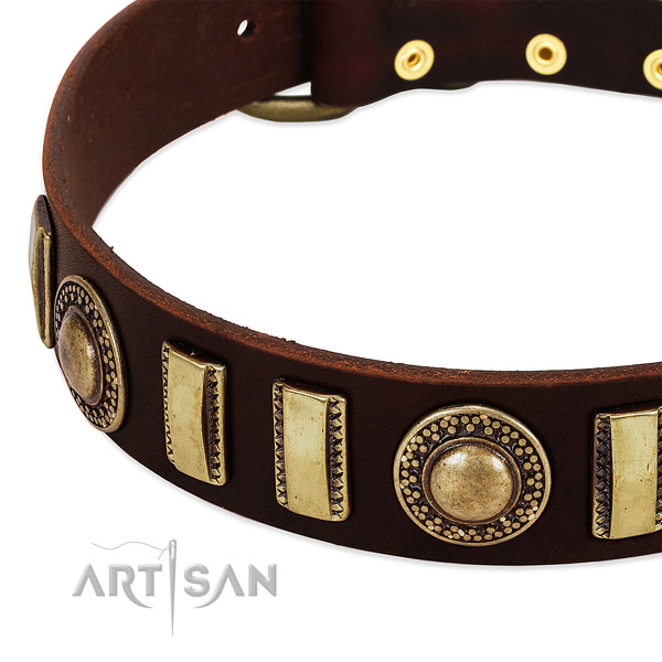 Quality full grain natural leather dog collar with durable hardware