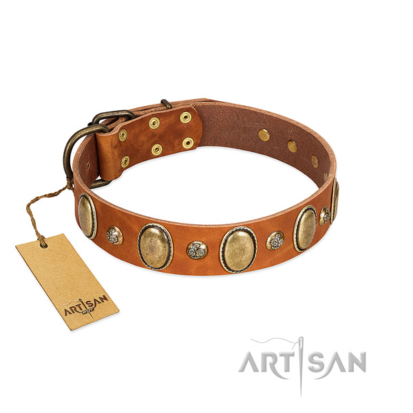 Full grain natural leather dog collar of soft material with fashionable adornments