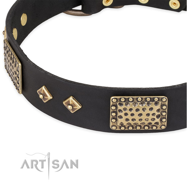 Reliable embellishments on full grain natural leather dog collar for your canine