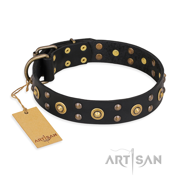 Stylish walking incredible dog collar with strong hardware