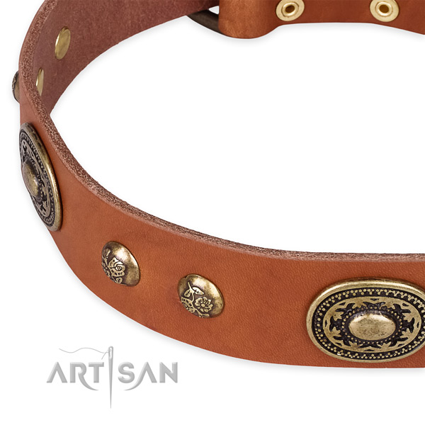 Exceptional full grain natural leather collar for your handsome dog