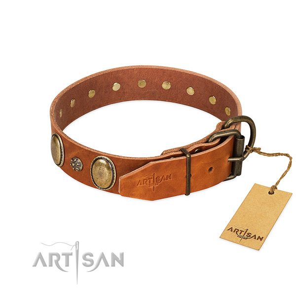 Fancy walking soft to touch full grain natural leather dog collar
