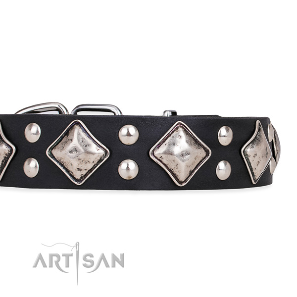 Genuine leather dog collar with significant strong embellishments
