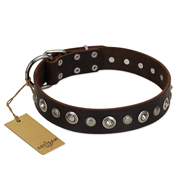 "Gorgeous Shields" FDT Artisan Brown Leather American Bulldog Collar with Old Silver-like Circles and Small Camomiles (image for) "Gorgeous Shields" FDT Artisan Brown Leather American Bulldog Collar with Old Silver-like Circles and Small Camomiles