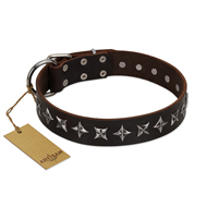 "Stars of Glory" FDT Artisan Brown Leather American Bulldog Collar for Comfortable Walking (image for) "Stars of Glory" FDT Artisan Brown Leather American Bulldog Collar for Comfortable Walking