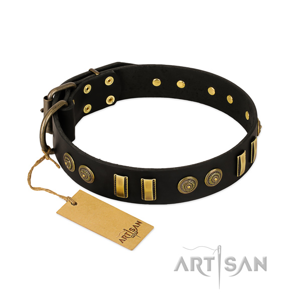 Reliable embellishments on full grain genuine leather dog collar for your four-legged friend