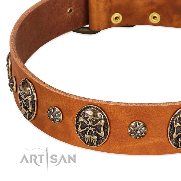 Durable studs on natural genuine leather dog collar for your pet
